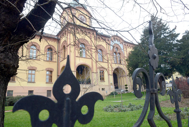 Карловачка гимназија: Директор против воље професора